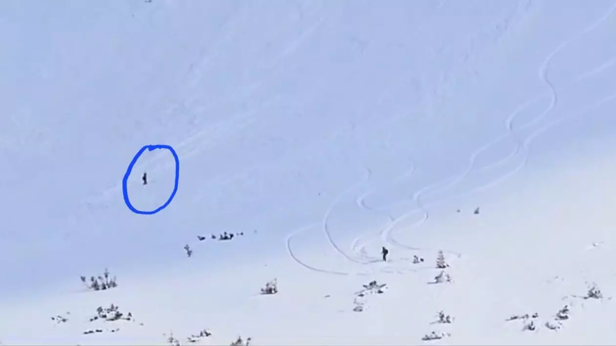 Schioare surprinsă de avalanşă în Munţii Rodnei. „Târâtă până la poalele muntelui”, femeia a scăpat cu viaţă | VIDEO