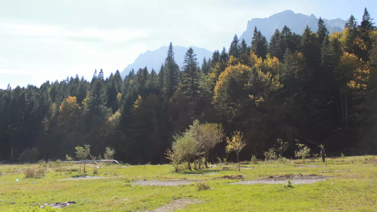 Războiul de 20 de ani pentru 60 de hectare de teren într-o zonă exclusivistă din Valea Prahovei. Miza, peste 36 milioane de dolari: „S-a făcut o măgărie”