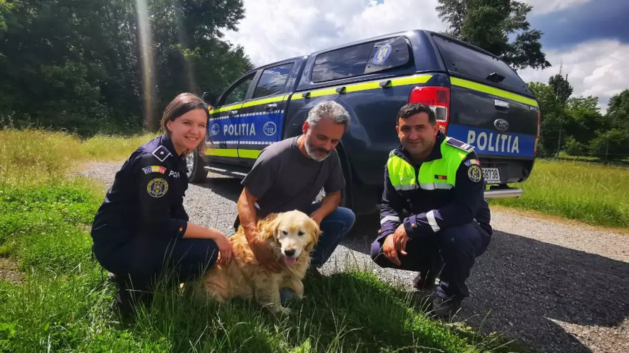 Un câine pierdut în urmă cu doi ani de o familie din Timişoara, găsit întâmplător de poliţişti, în Caraş-Severin