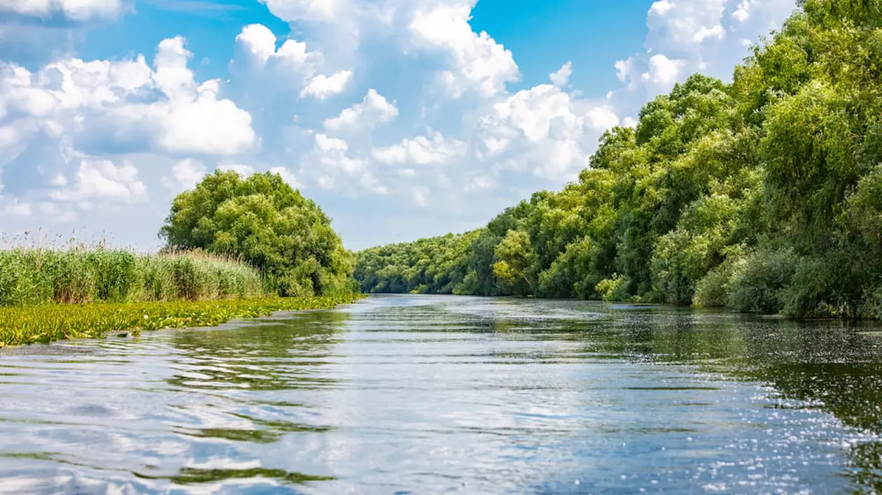Raport WWF: Subvenţiile agricole acordate în Delta Dunării sunt dăunătoare naturii şi comunităţilor din zonă