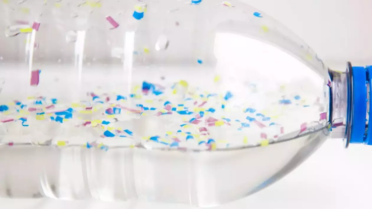 Avertismentul cercetărilor: microplastic găsit în testiculele umane. Posibile implicații asupra fertilității
