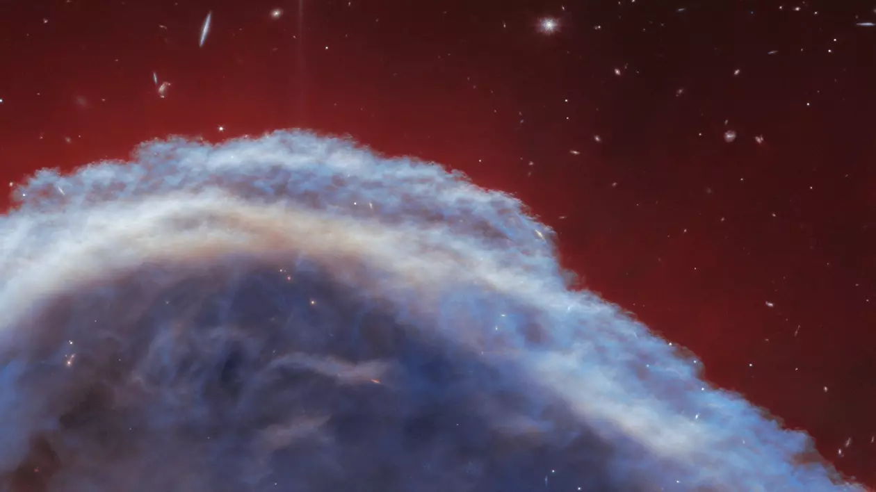 Această imagine a nebuloasei Cap de Cal, realizată de Telescopul spațial James Webb al NASA, se concentrează pe o porțiune din „coama” calului, cu o lățime de aproximativ 0,8 ani lumină. Ea a fost realizată cu instrumentul NIRCam (Near-infrared Camera) al telescopului Webb. Norii eterici care apar în albastru în partea de jos a imaginii sunt dominați de hidrogenul molecular, rece. Șuvițele de culoare roșie care se întind deasupra nebuloasei principale reprezintă în principal hidrogenul gazos atomic.