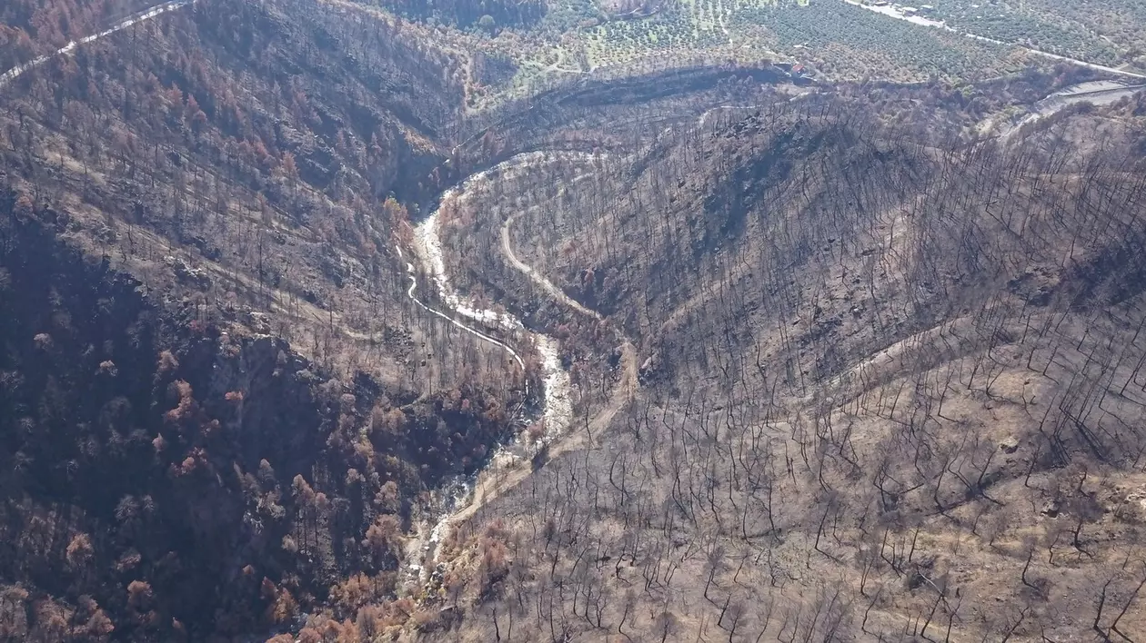 Date sumbre privind clima în Europa, în 2023. O suprafață de pădure cât Londra, Paris și Berlin la un loc a fost distrusă de incendii. Ce alte fenomene extreme au adus schimbările climatice
