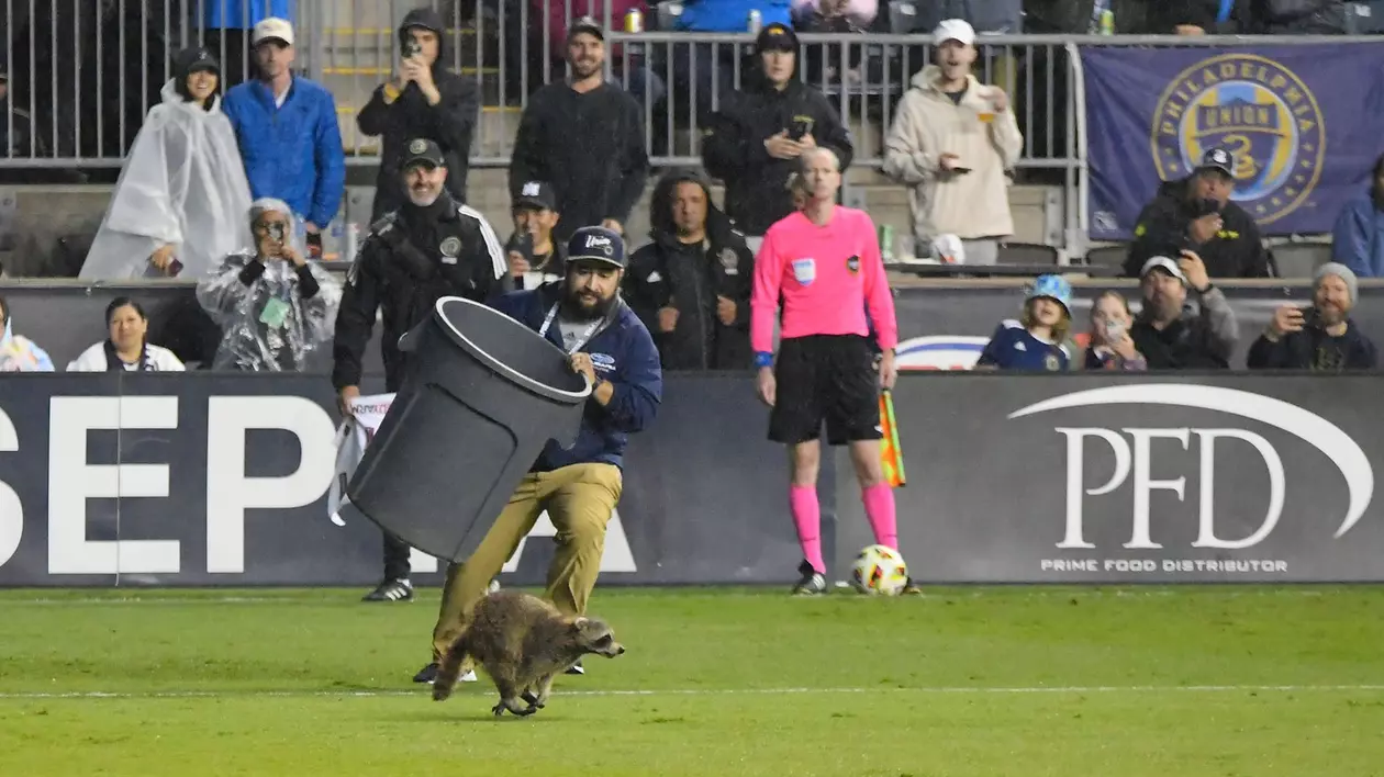 Un raton pătruns pe teren la un meci de fotbal din SUA a fost alergat și prins de angajați cu ajutorul unui coș de gunoi | VIDEO