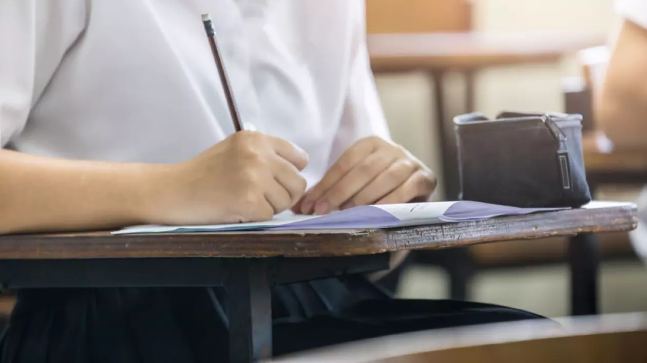 Rezolvare subiecte la Română la Evaluare Națională 2024