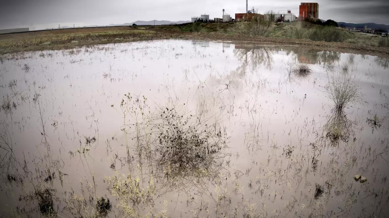 Ce este ploaia acidă - Imagine cu un complex industrial şi o întindere de apă poluată.