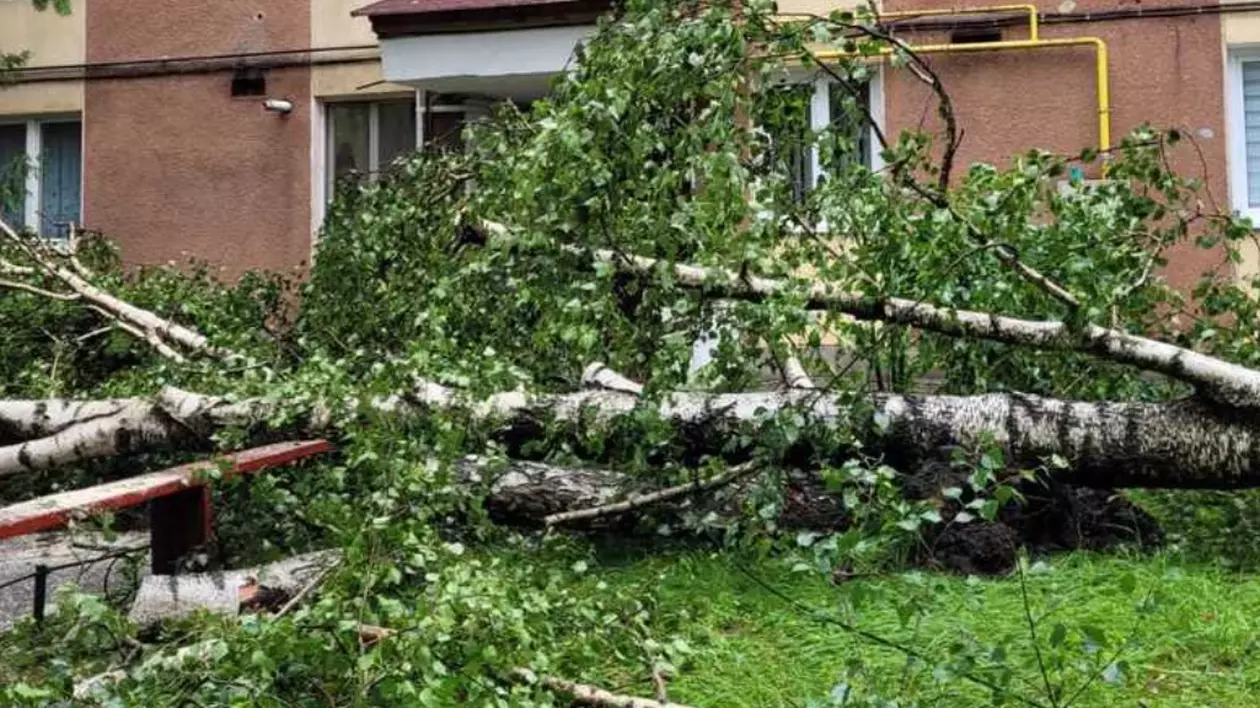 Bilanţul furtunii din Harghita: mii de oameni din zeci de localități, fără curent electric, un panou publicitar a căzut peste un bărbat