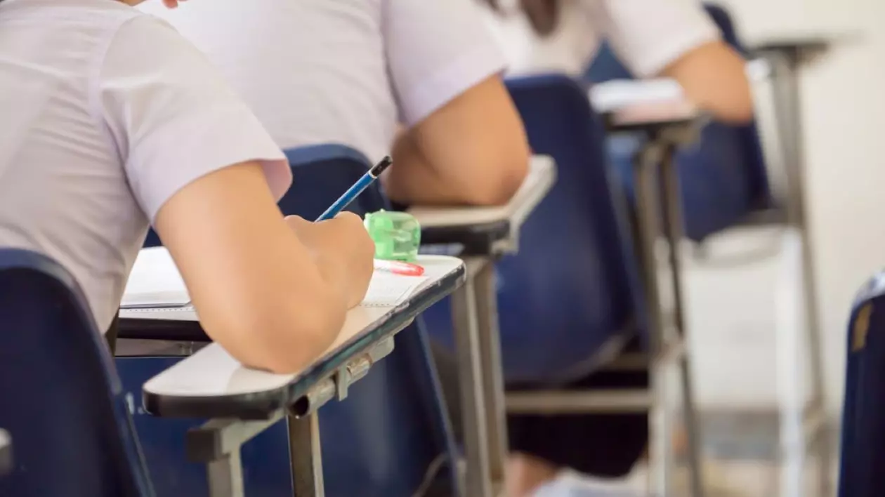 Subiecte BAC Informatică 2024