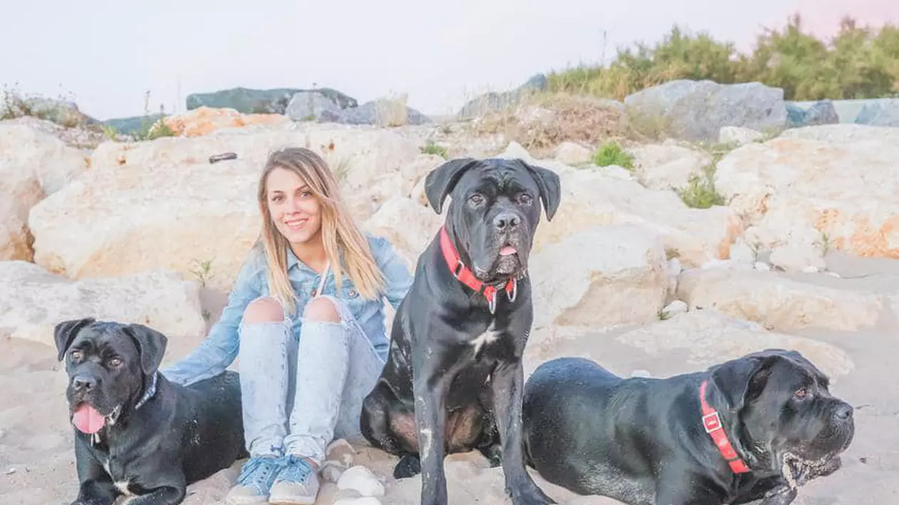 Doi dintre cățeii Andreei și ai lui Cabral Ibacka au dispărut. „Suntem la Mamaia Nord. Au îndoit gardul și au săpat pe sub el. Vă rugăm să ne ajutați”