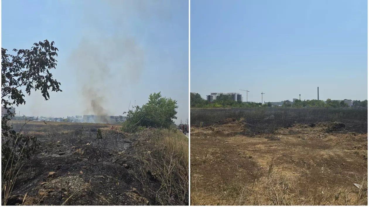 Incendiu în Chiajna. Au ars aproximativ 50.000 mp de vegetație uscată