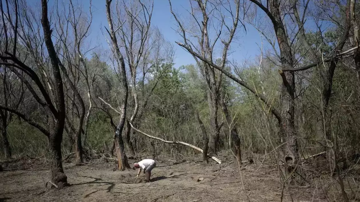 Resturi dintr-o dronă rusească, găsite la Tulcea, după un atac masiv al rușilor în Ucraina. MApN: Zona e cercetată în continuare