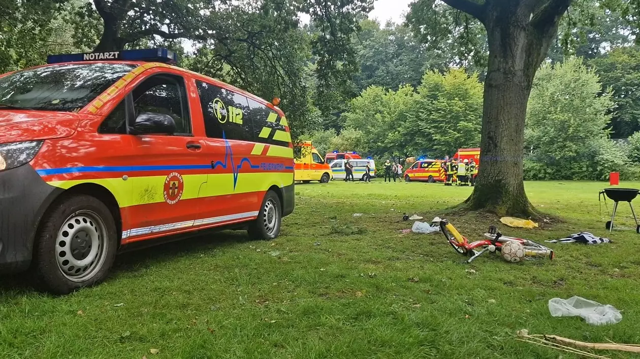 Opt membri ai aceleiași familii, loviți de fulger, în Germania. Se adăposteau de furtună sub un copac. Doi copii au fost resuscitați