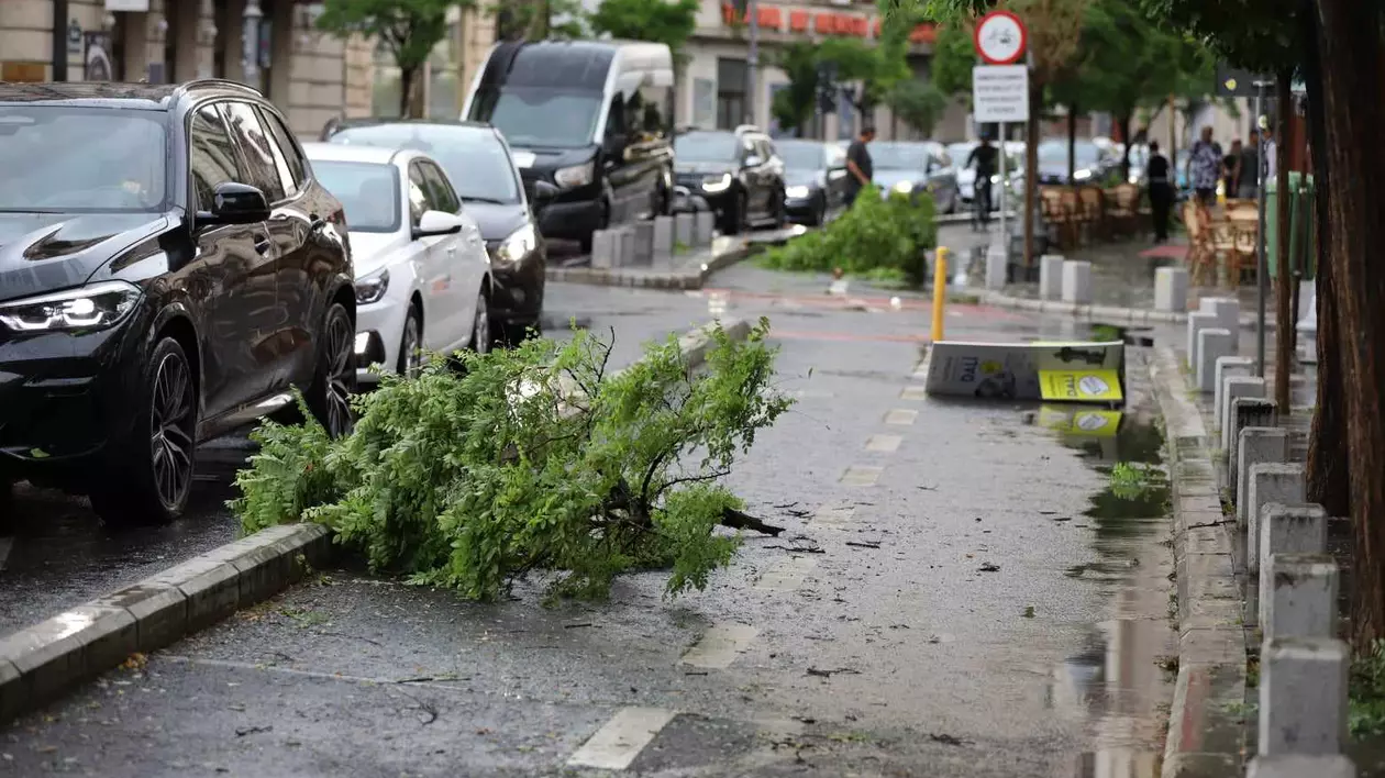 Ploaie torențială și grindină în București: zeci de copaci căzuți și surpare în carosabil pe o stradă. Pompierii au intervenit în mai multe zone