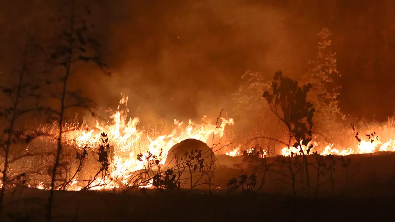 Risc crescut de incendii şi restricţii de circulaţie în Macedonia de Nord, anunță MAE. Avertizarea, valabilă până la finalul lunii august