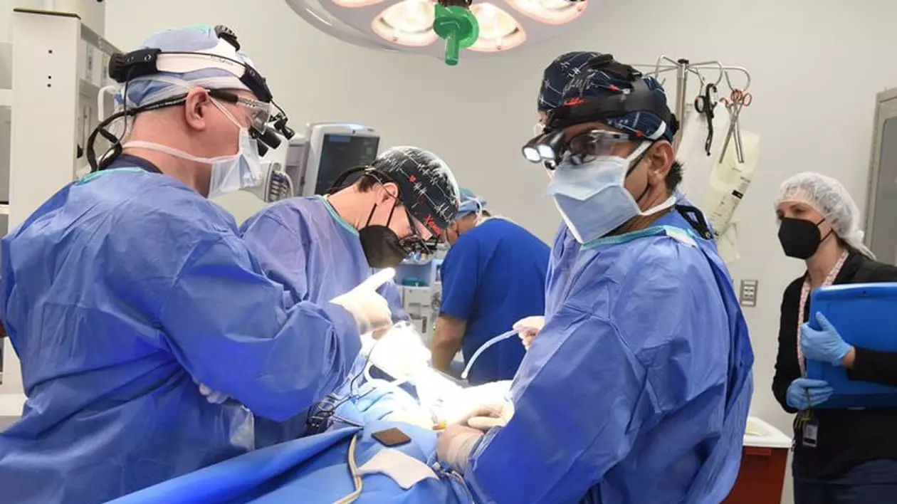 În România ar putea fi prelevate organe de la pacienți în moarte circulatorie, spune medicul Horațiu Moldovan