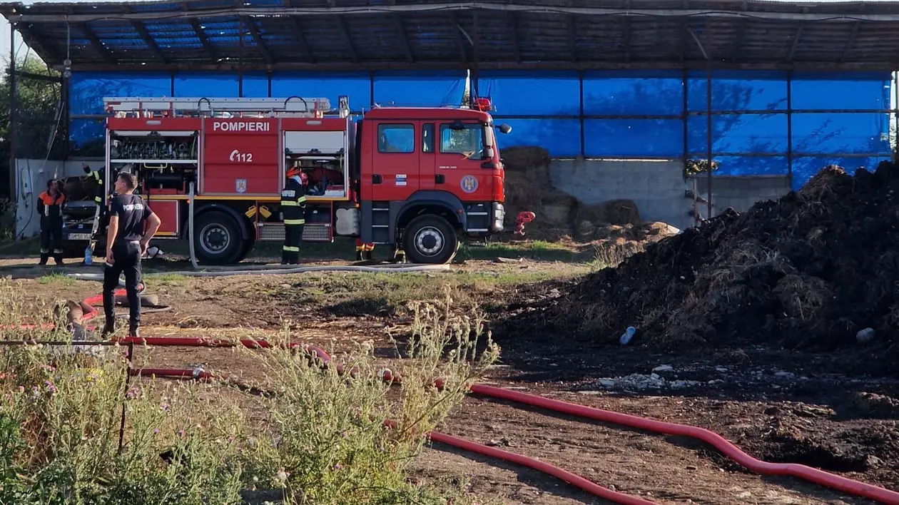 Incendiu violent la un adăpost de animale din judeţul Satu Mare, provocat de un scurtcircuit la un cablu defect