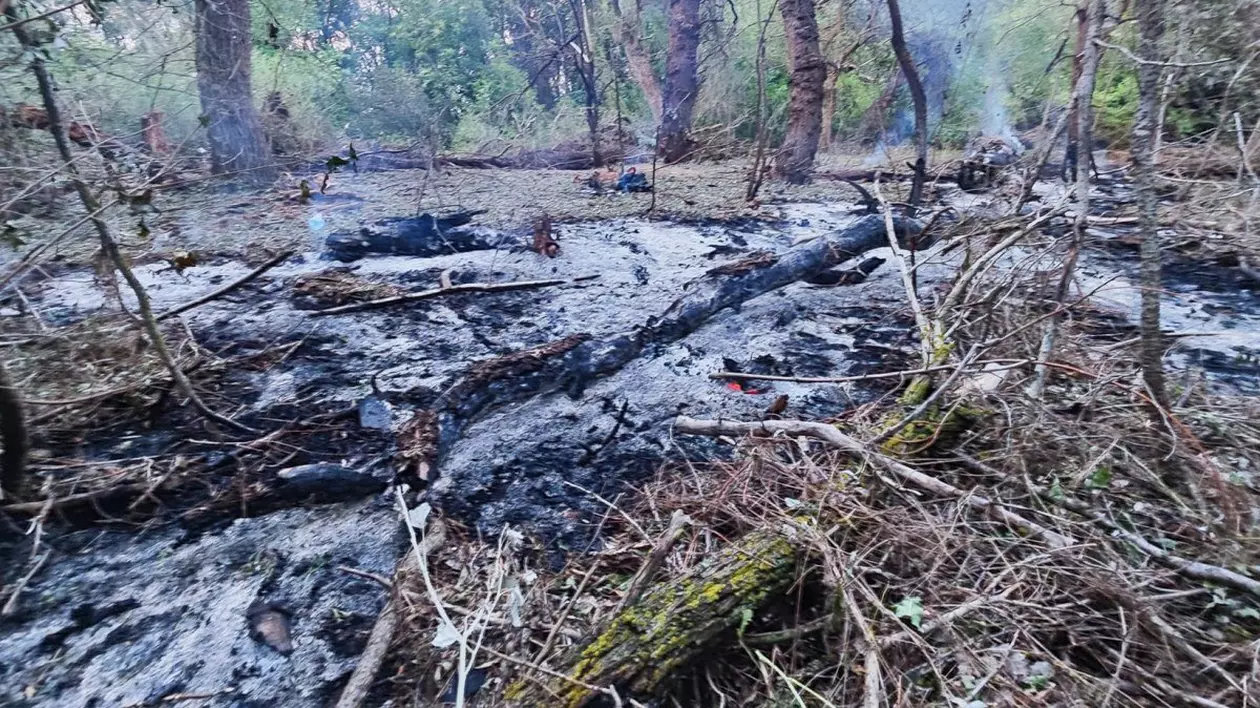 Noi fragmente de dronă, găsite în Tulcea. MApN: Zonele sunt nelocuite