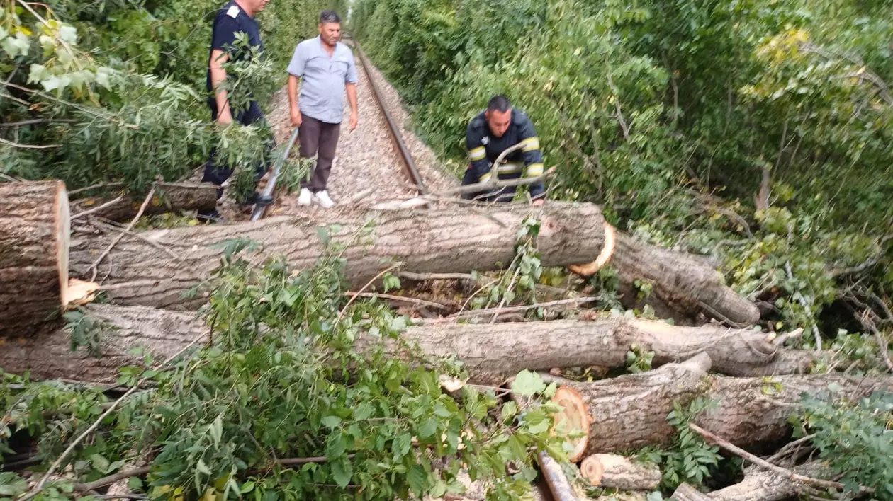 Copaci și stâlpi puși la pământ de vijelie, în Prahova. Lângă Ploiești, un arbore a blocat traficul feroviar