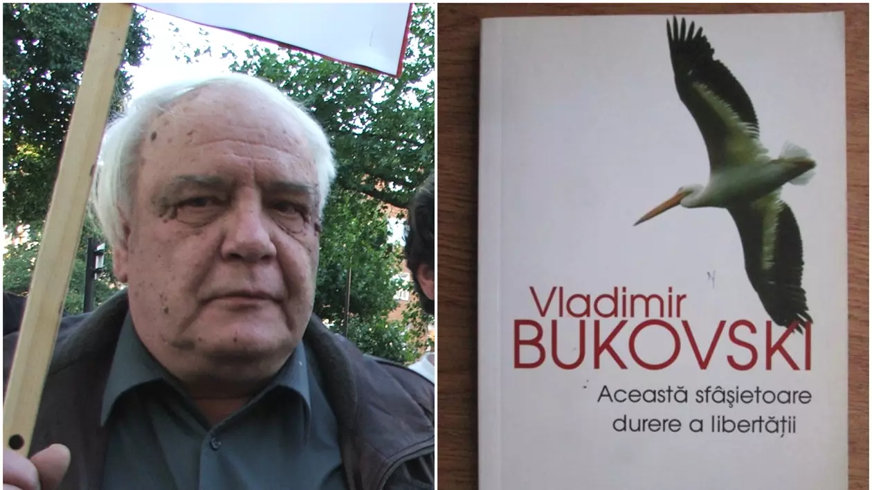 O carte care mă încurajează să-mi caut libertatea, oricât de sfâșietoare ar fi durerea acestei căutări