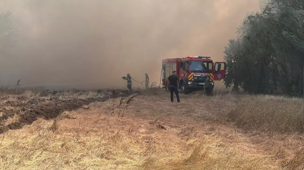 Incendiu de vegetație uscată lângă un cămin de bătrâni din județul Constanța. Vârstnicii, evacuați, traficul feroviar și rutier, oprit în zonă