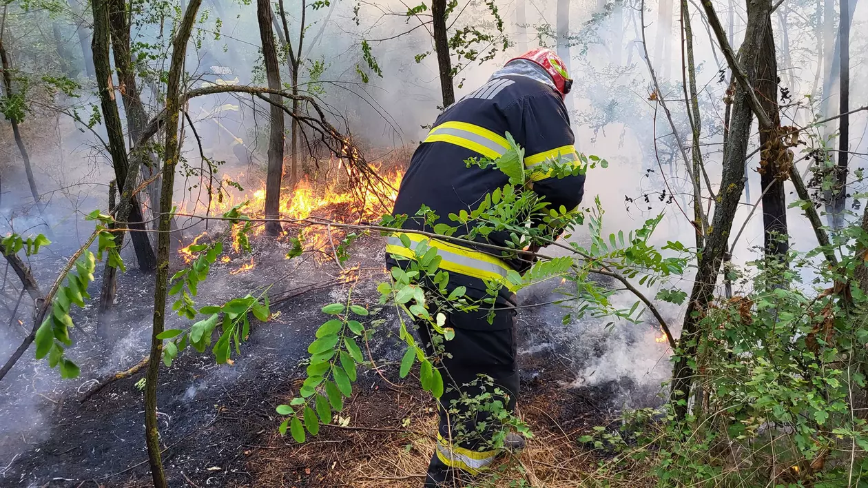 Incendiu în zona pădurii Bălănoaia din Giurgiu. 42 de hectare, afectate