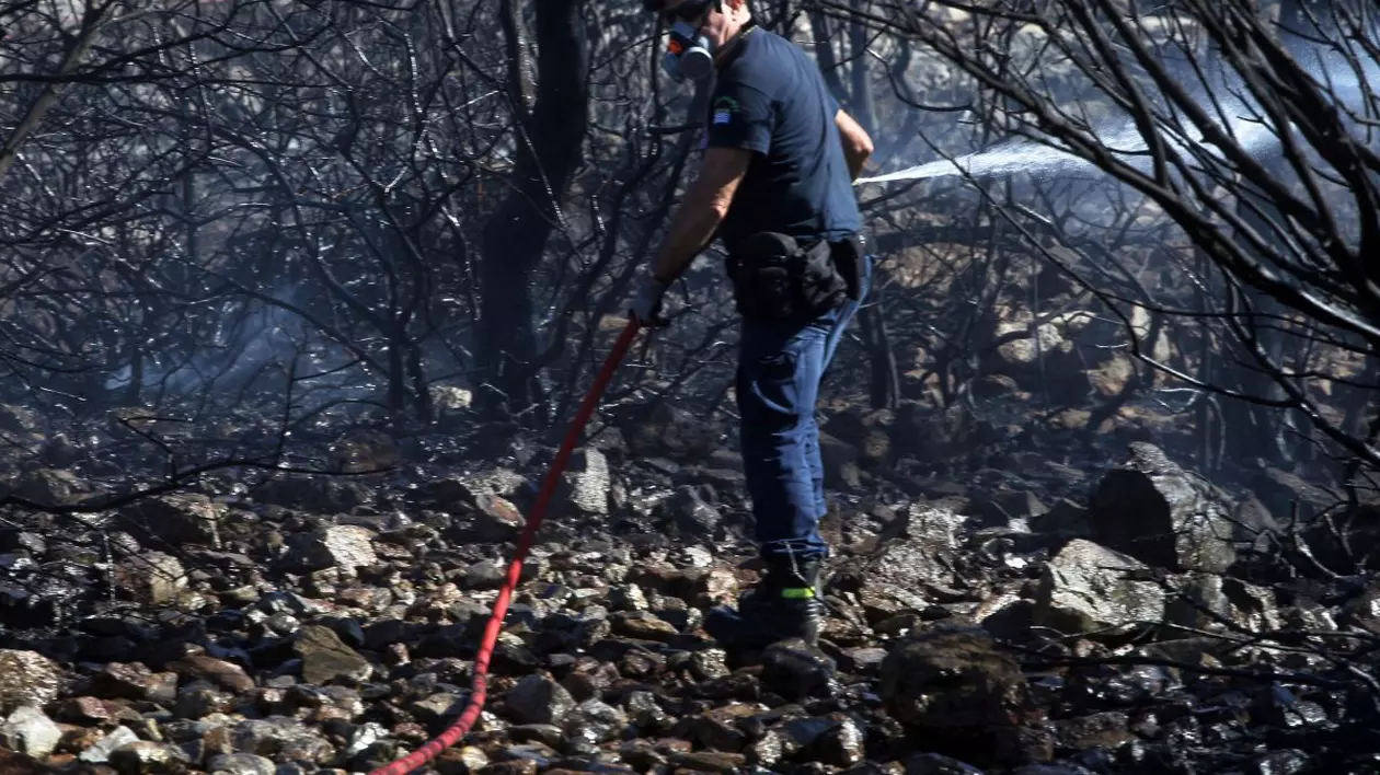 Nu mai există incendii de vegetație active în zona Atenei, anunță pompierii