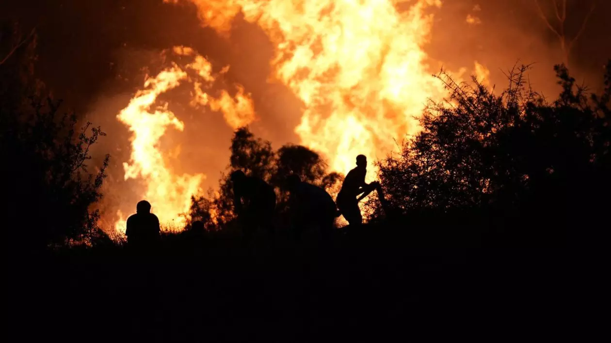 Un incendiu de pădure s-a extins până în zonele rezidențiale din orașul turc Izmir. Oameni evacuați din mai multe cartiere