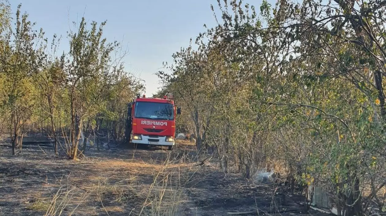 Bărbat găsit mort în urma unui incendiu de vegetație uscată, în județul Dolj. „A vrut să-și salveze casa și a ars”