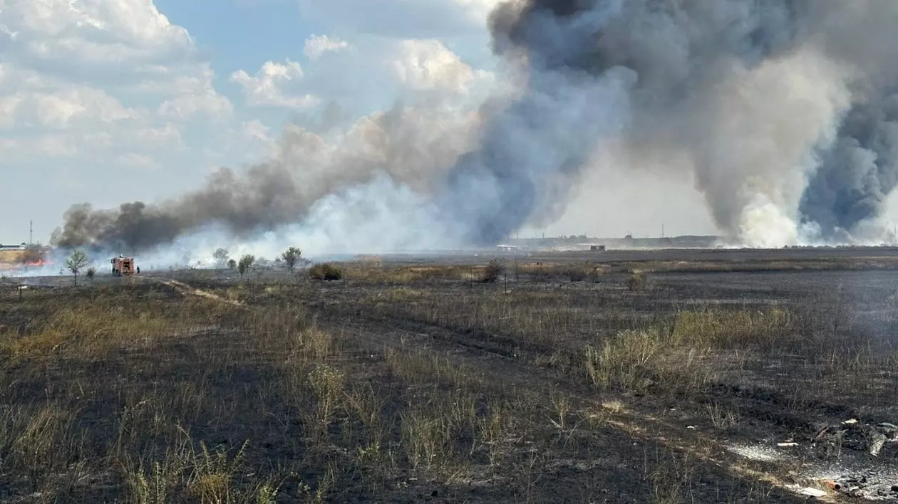 Incendiu de vegetație. Fotografie cu caracter ilustrativ: ISU