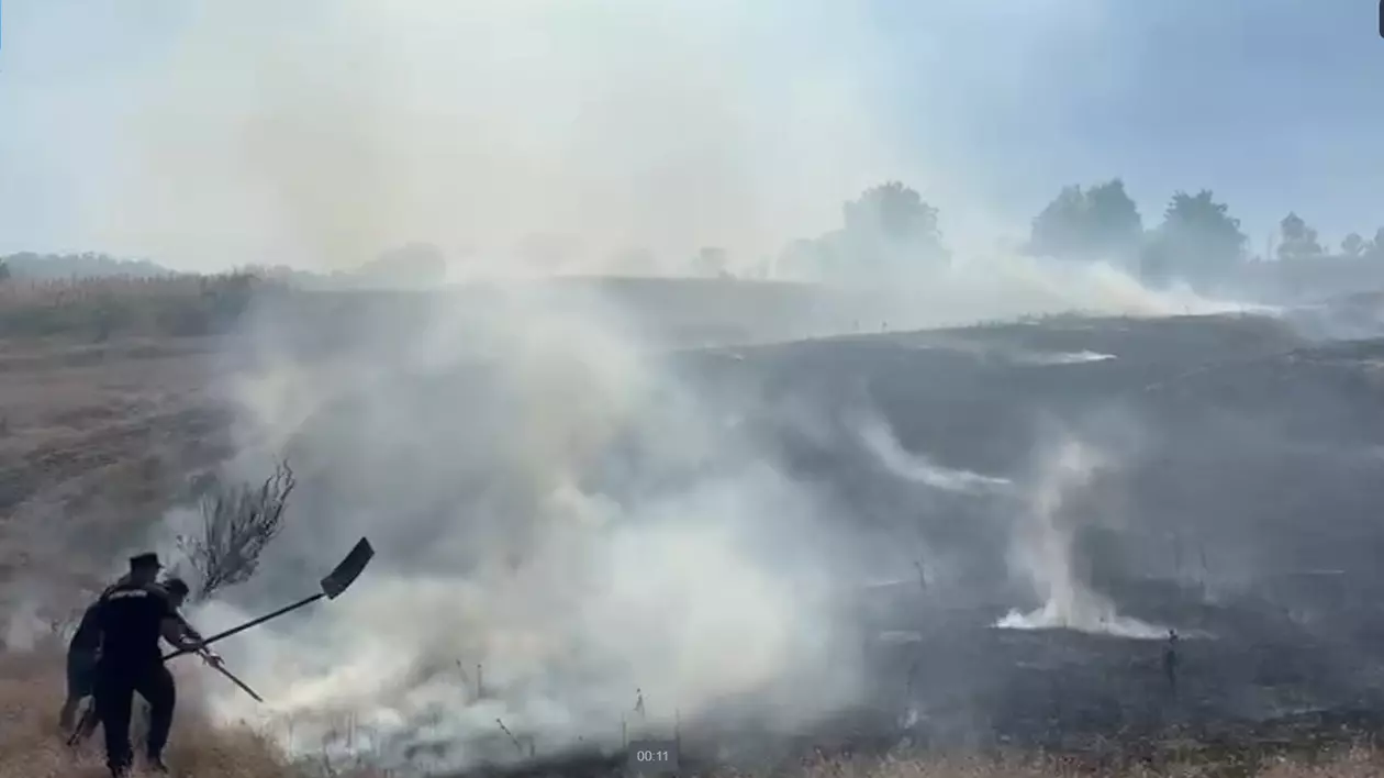 Intervenţie dificilă pentru stingerea unor incendii de vegetație care s-au extins pe 50 de hectare, în Vaslui