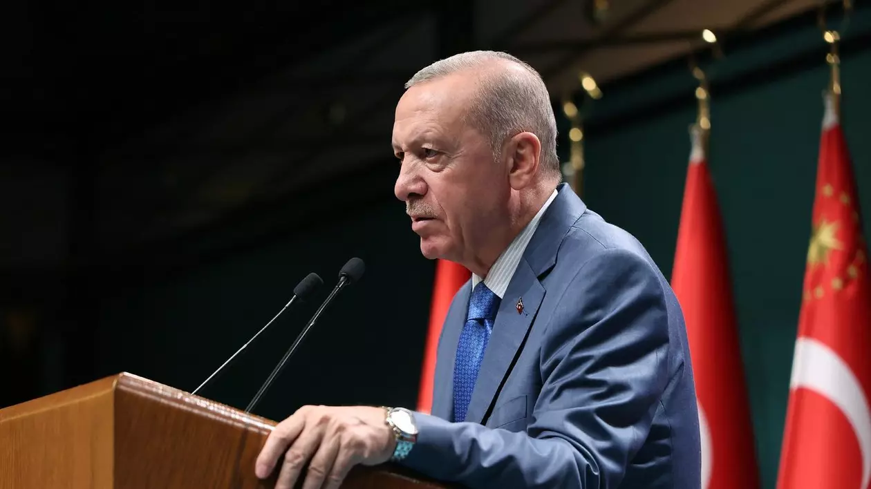 Liderul turc Recep Tayyip Erdogan Foto: Profimedia