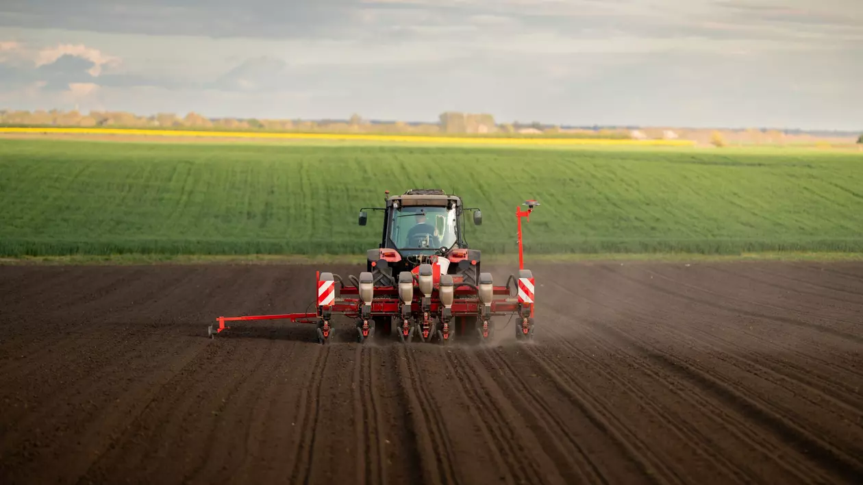 Revenire spectaculoasă a marilor ferme din România, după măsurile din agricultură ale Guvernului Ciolacu; de la pierderi, la profit de zeci de milioane de euro în doar 12 luni