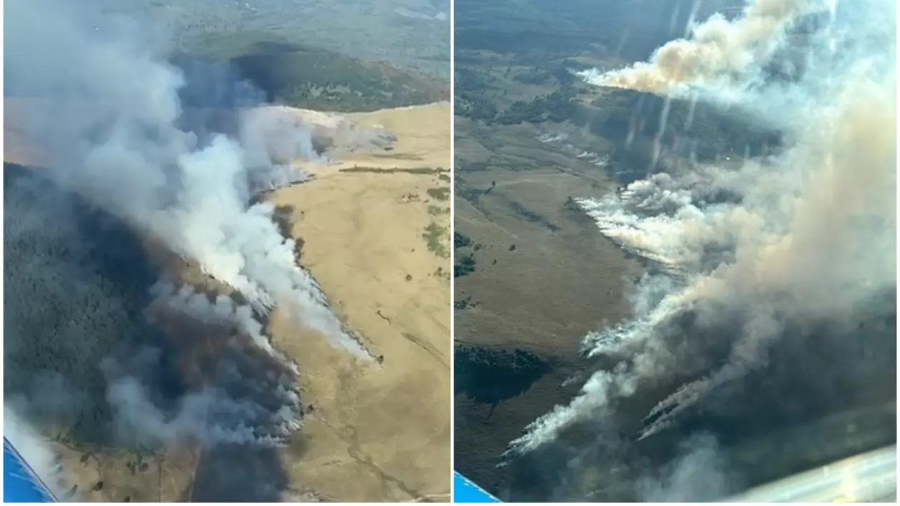 Incendiu în Munţii Gutâi, în zona montană Igniş. Au ars aproape 80 de hectare de vegetaţie 