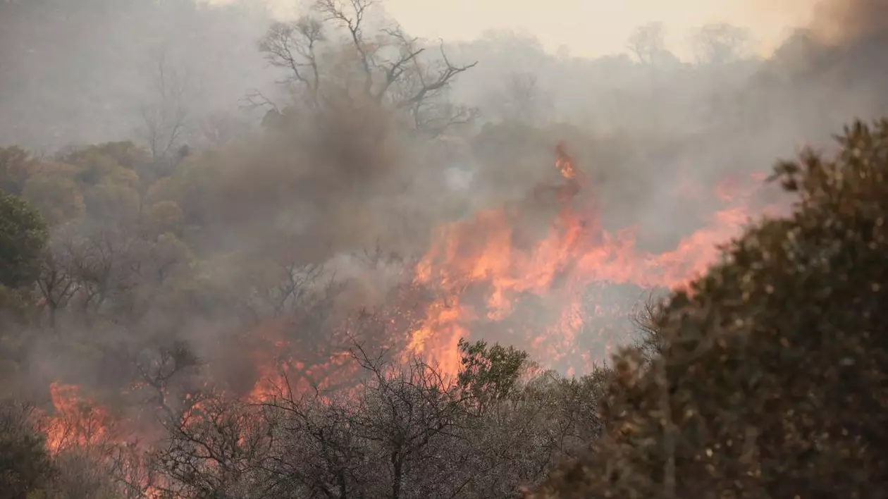 Bărbat decedat într-un incendiu într-o zonă greu accesibilă Foto: Hepta