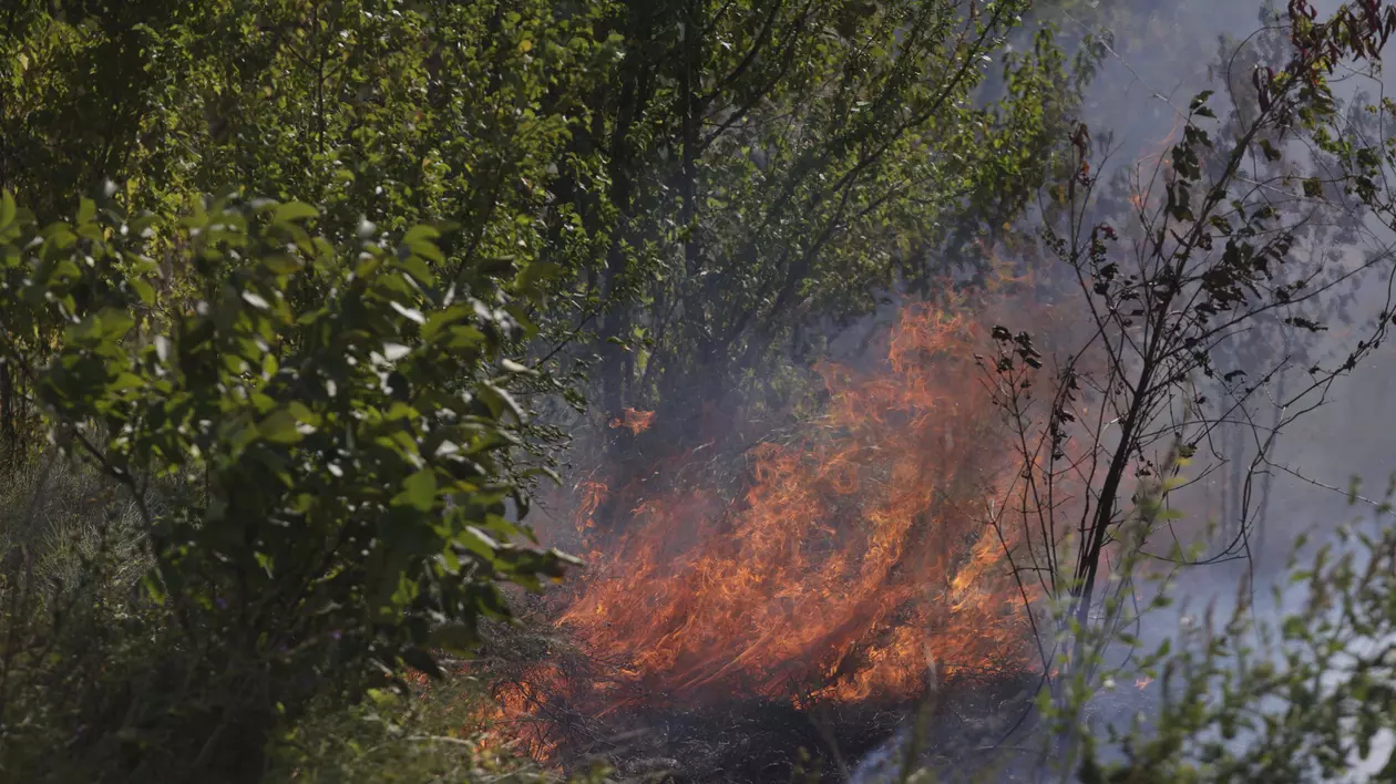 Incendiu uriaș de vegetație în Maramureș. Flăcările au ajuns în zona locuințelor. Circa 90 de oameni, evacuați