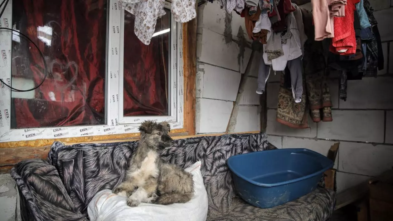 Aproape 40% din adolescenți lipsesc de la şcoală, ca să muncească în gospodărie. Raport îngrijorător al World Vision România
