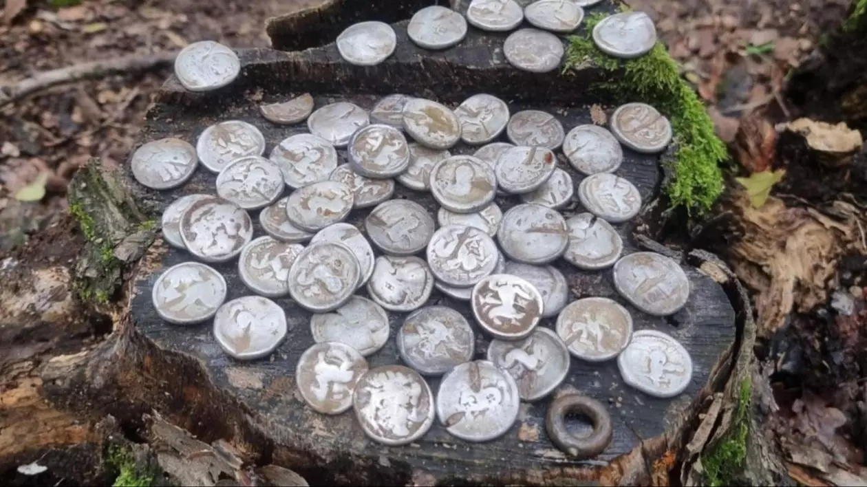 monede de argint descoperite în padure