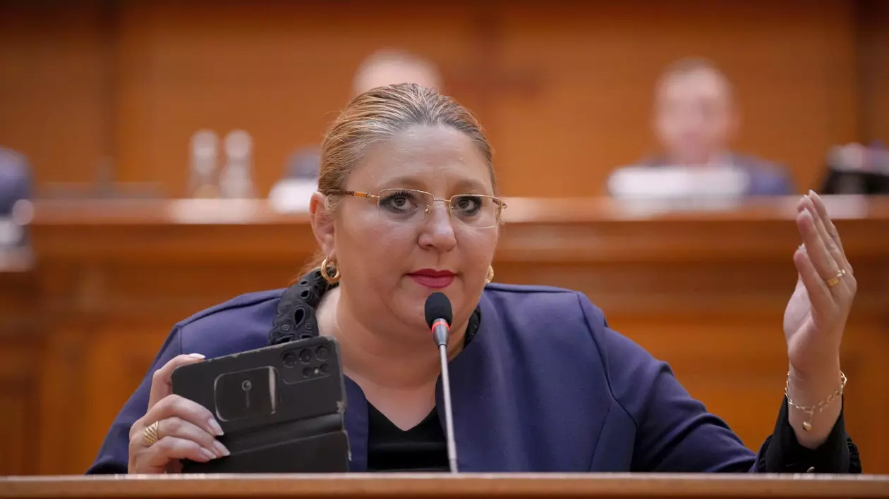 Motivarea deciziei CCR în cazul Dianei Șoșoacă, prin care i s-a interzis candidatura la președinție: „Luările de poziție oficiale amenință ordinea constituțională”