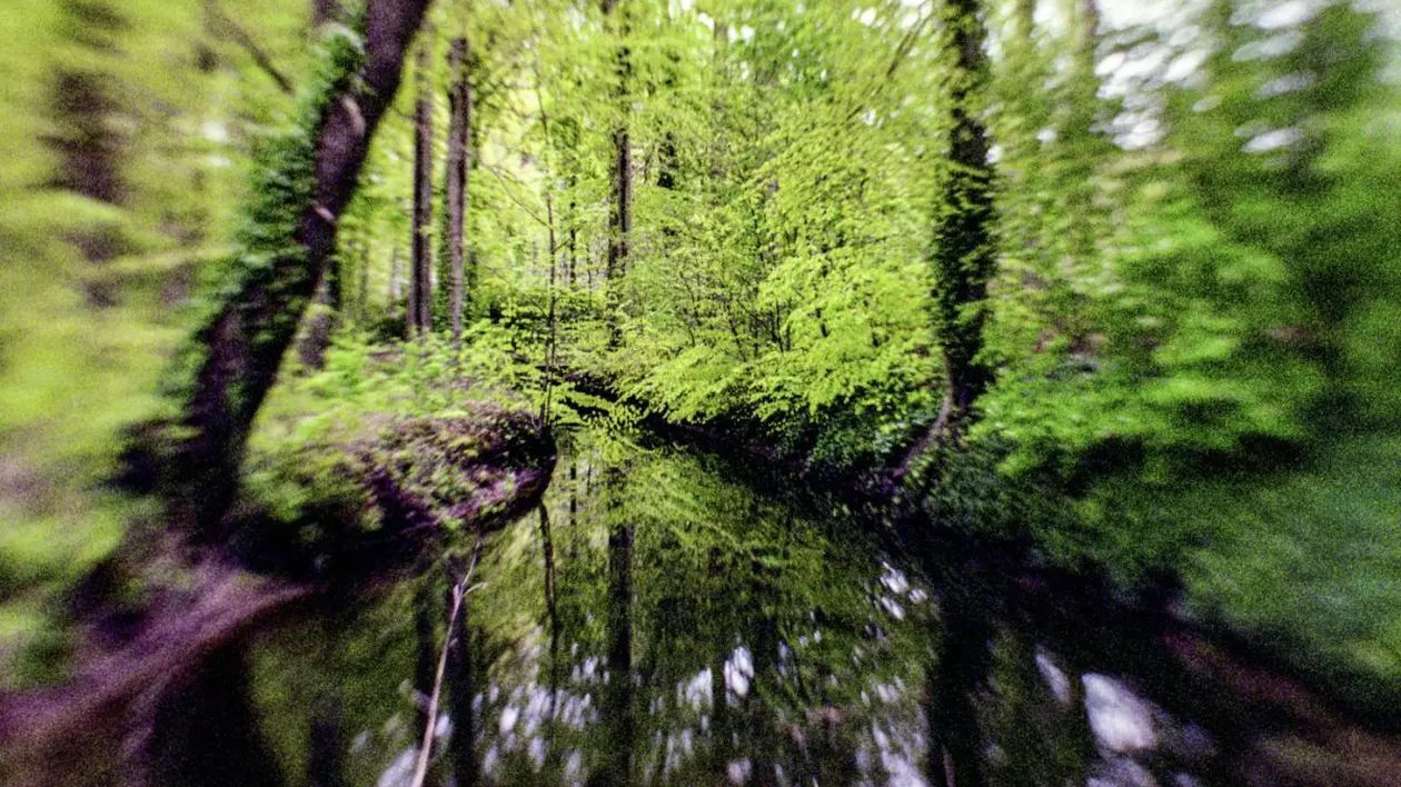 Obiect vechi de 3000 de ani găsit într-o pădure din județul Mureș. „Spada a fost făcută la comandă”