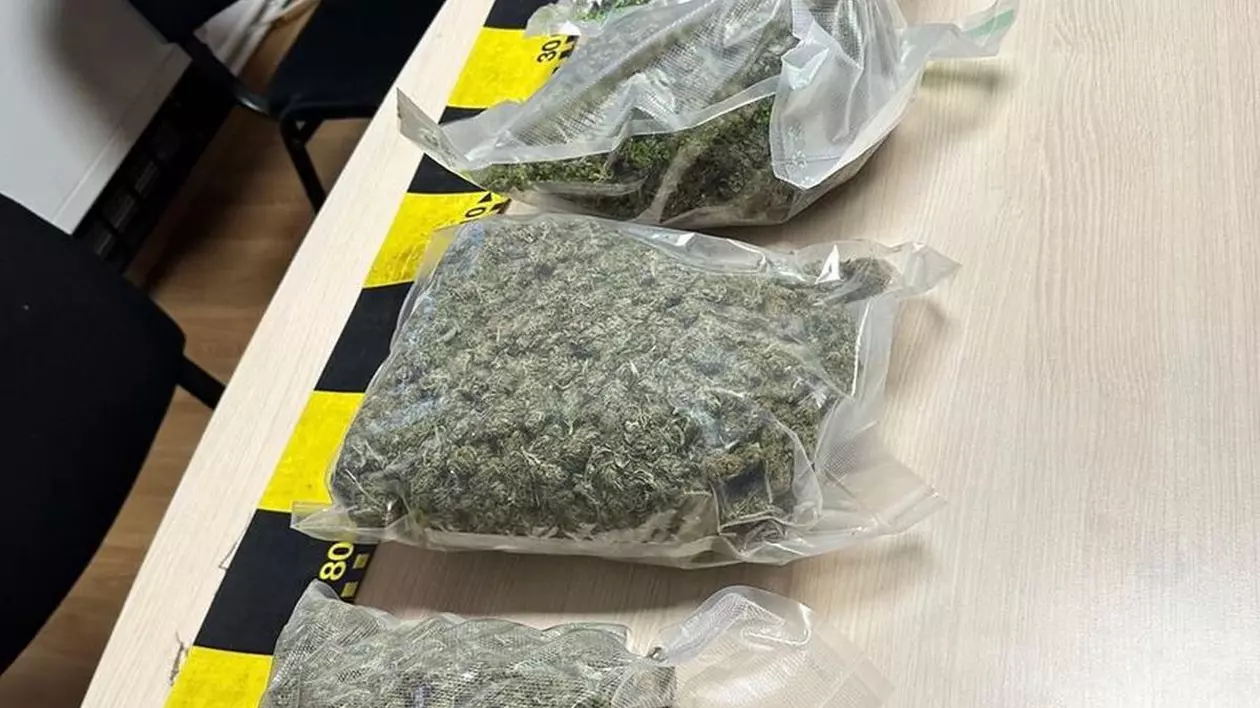 Agent de penitenciar din Maramureș, prins în flagrant când ridica un colet cu peste 2,3 kilograme de canabis