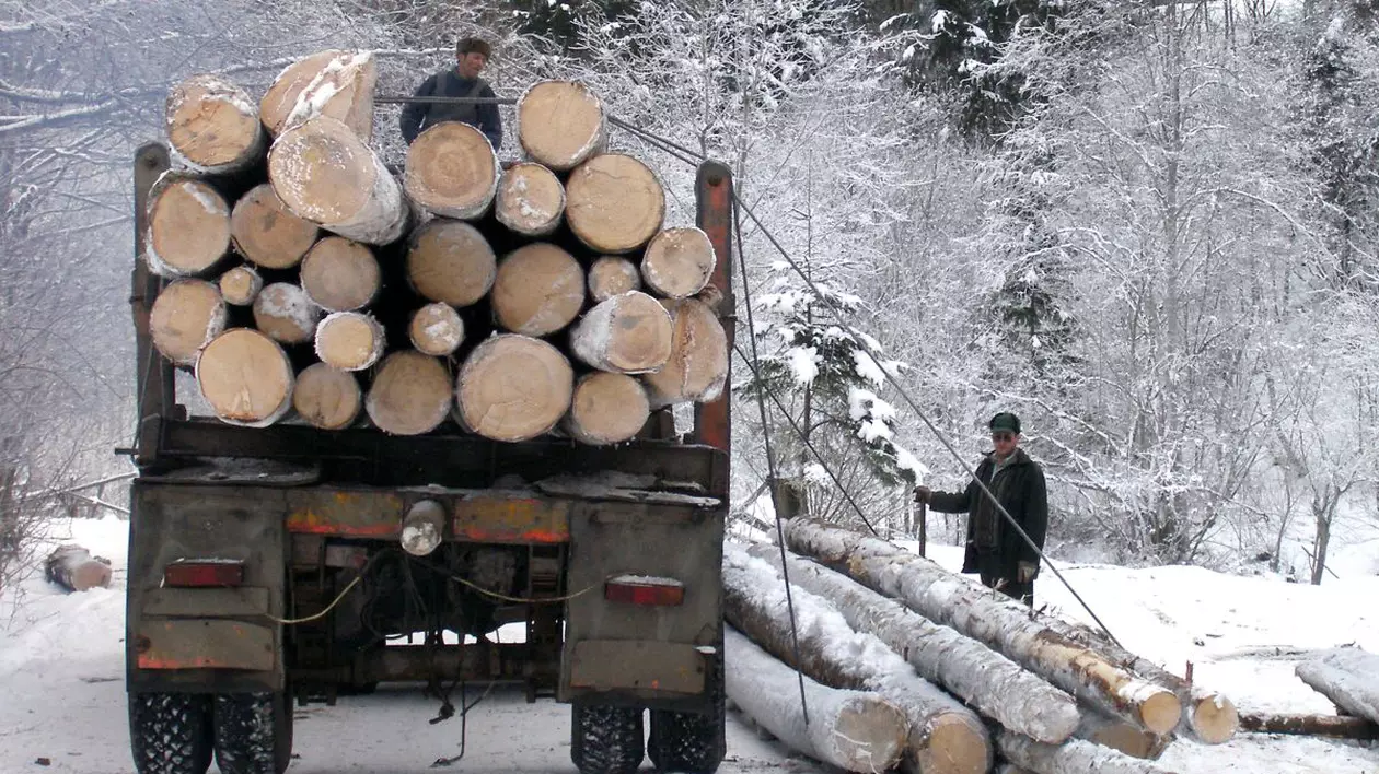 Un camion încărcat cu lemne, în pădure, iarna, cu copaci acoperiți de zăpadă în fundal