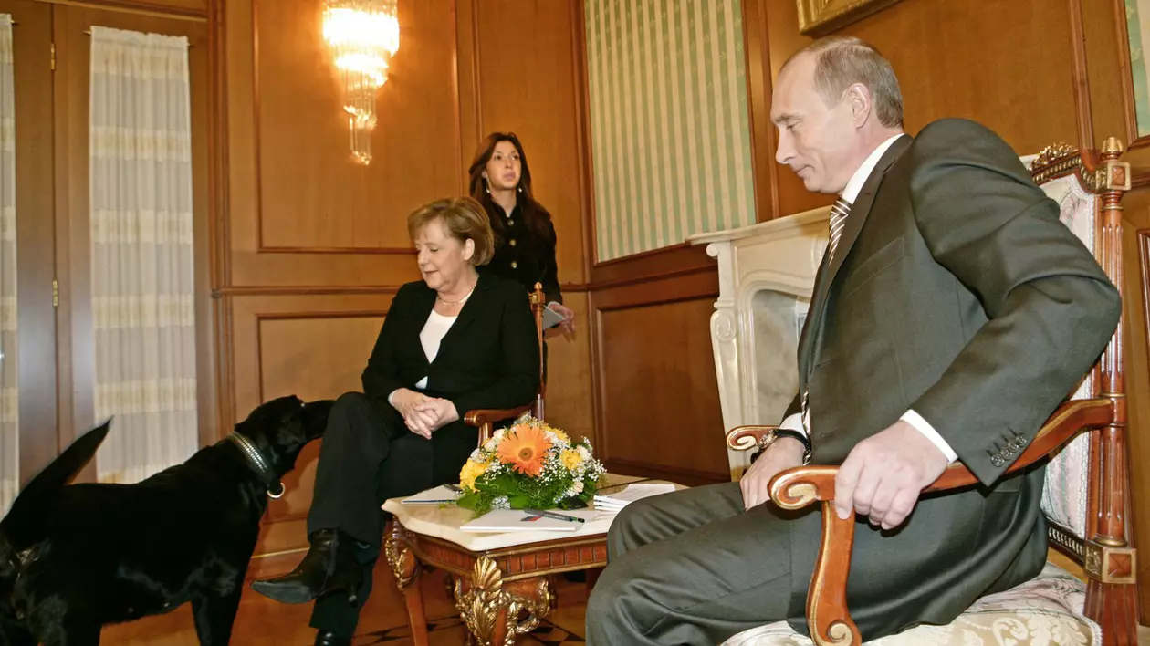 Incidentul în care Putin și-a adus labradorul Koni la o întrevedere cu Merkel Foto: Profimedia