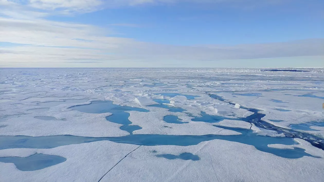 blocuri de gheață care plutesc pe apele oceanului arctic