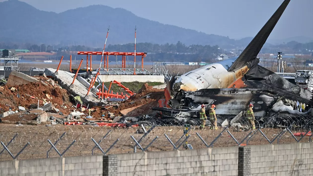 Avionul companiei Jeju Air prăbușit pe Aeroportul Internațional Muan Foto: Profimedia