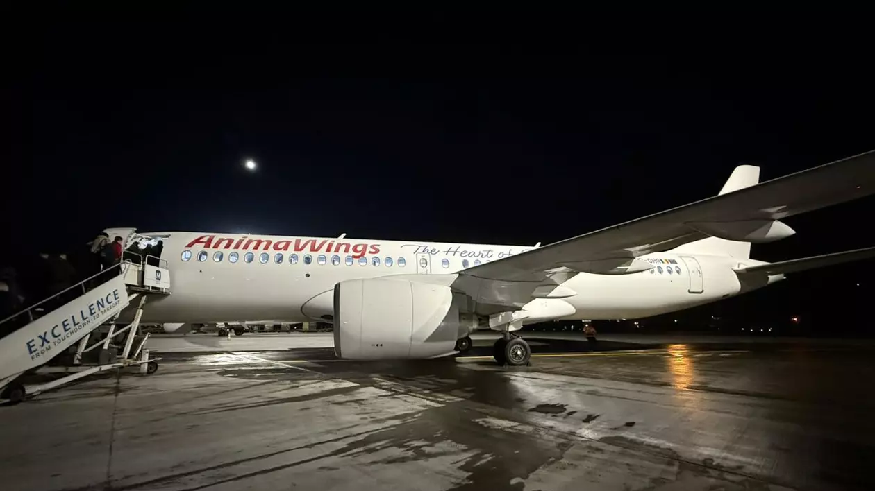 avion animawings