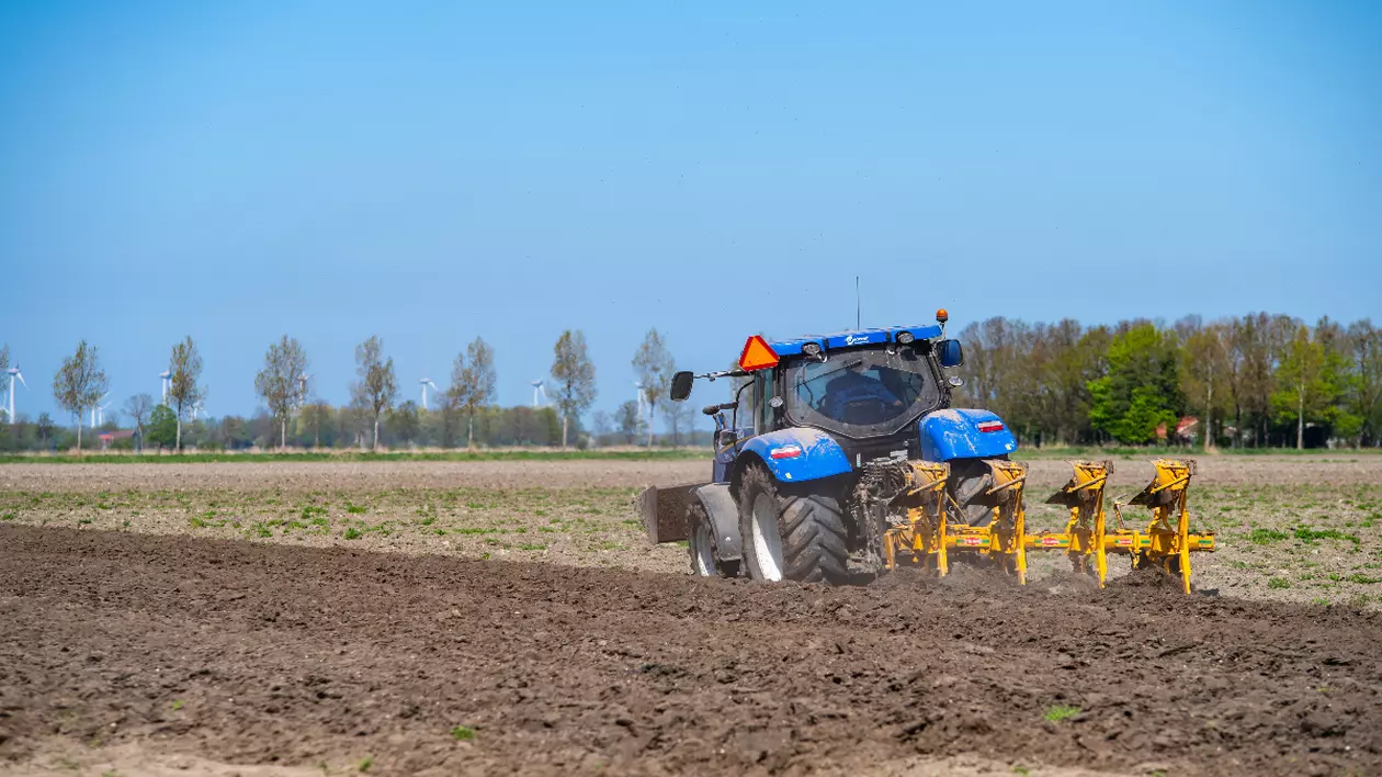 Jafuri în serie la ferme olandeze făcute de cetățeni români Foto: Profimedia Images