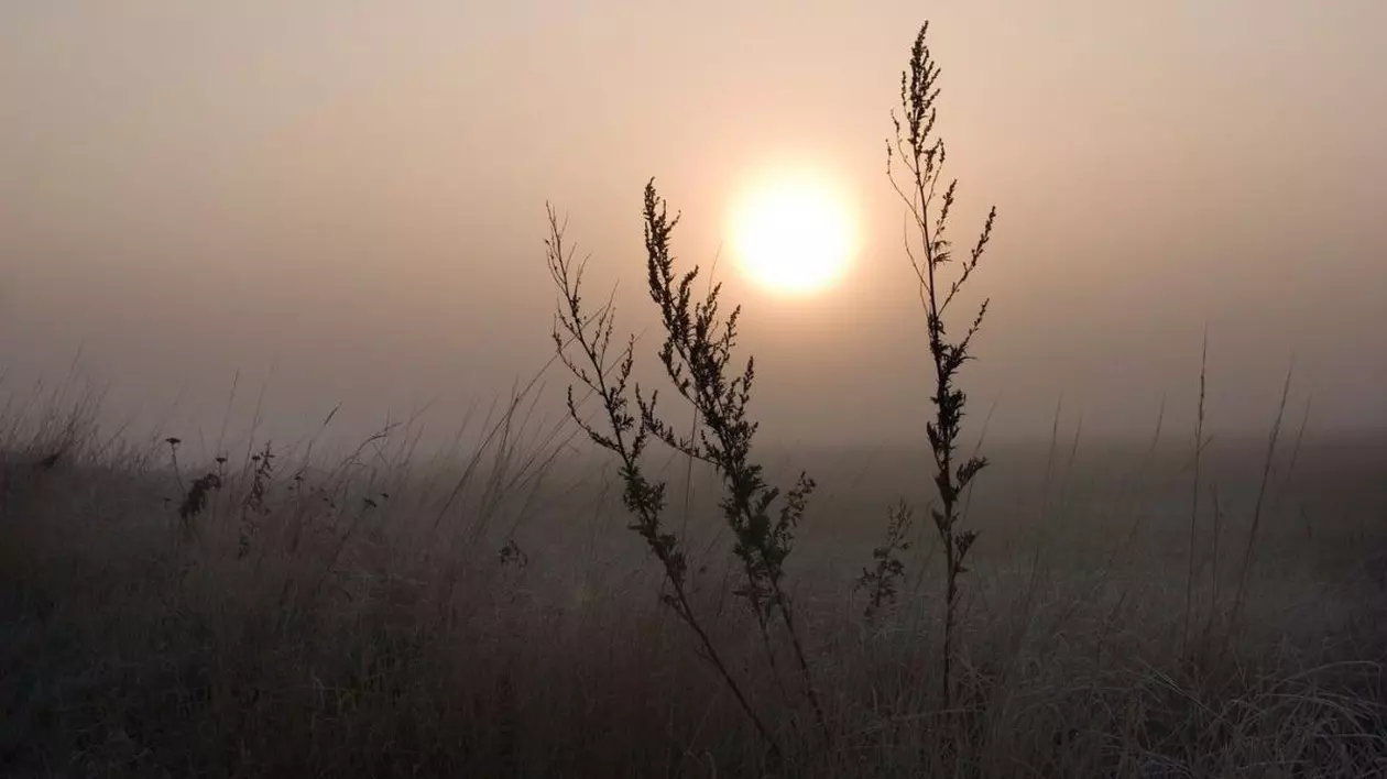 Cum va fi vremea mâine. Prognoza meteo pentru luni, 20 ianuarie 2025