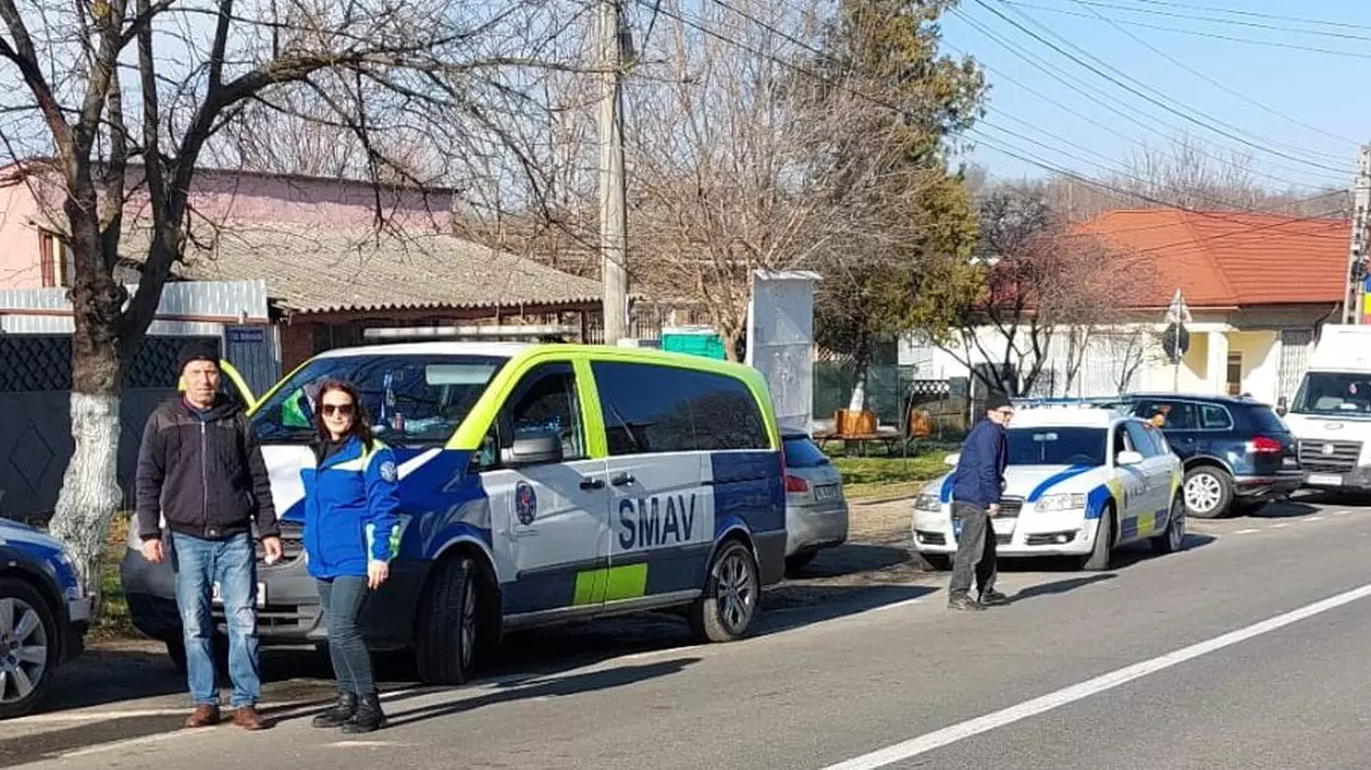 Primăria din Oancea, județul Galați, plătește aproape 20.000 de euro pentru prinderea câinilor fără stăpân: „Prea de tot, pe praful ăsta!”