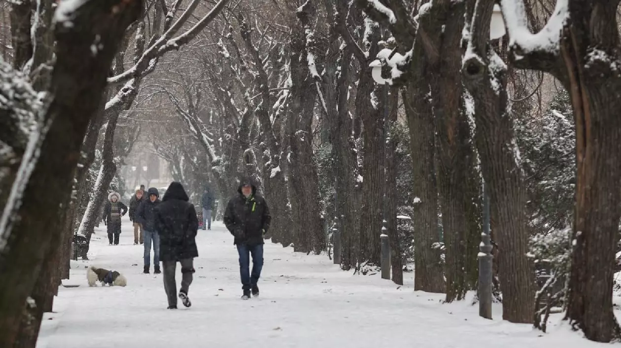 mai mulți oameni se plimbă în parc, în Bucuresti, 16 februarie, aleea este acoperită de zăpadă