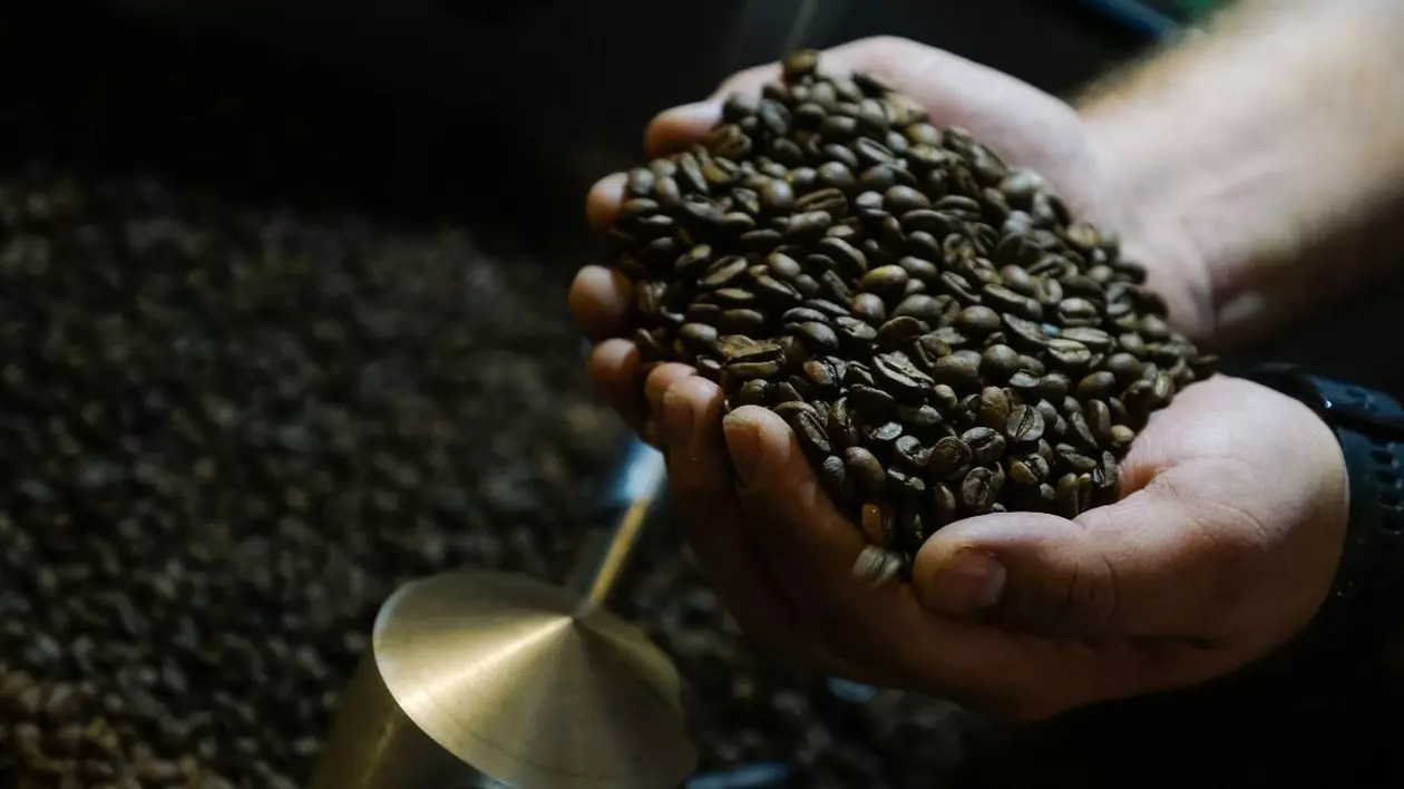 două mâini pline de boabe de cafea